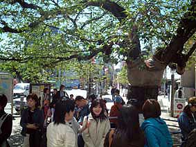 2003年4月現在の駅前